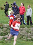 Click on thumbnail for larger photo