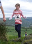 Click on thumbnail for larger photo