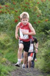 Click on thumbnail for larger photo