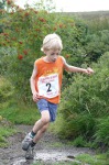 Click on thumbnail for larger photo