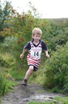 Click on thumbnail for larger photo