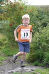 Click on thumbnail for larger photo