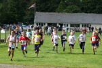 Click on thumbnail for larger photo