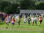 Click on thumbnail for larger photo