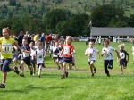 Click on thumbnail for larger photo