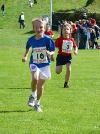 Click on thumbnail for larger photo