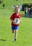 Click on thumbnail for larger photo