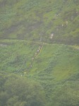 Click on thumbnail for larger photo