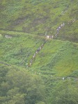 Click on thumbnail for larger photo
