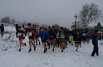 Click on thumbnail for larger photo
