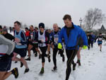Click on thumbnail for larger photo