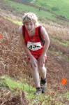 Click on thumbnail for larger photo
