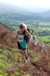 Click on thumbnail for larger photo