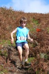 Click on thumbnail for larger photo