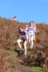 Click on thumbnail for larger photo