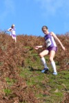 Click on thumbnail for larger photo