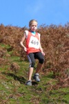 Click on thumbnail for larger photo