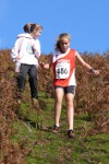 Click on thumbnail for larger photo