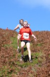 Click on thumbnail for larger photo