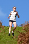 Click on thumbnail for larger photo