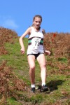Click on thumbnail for larger photo