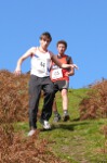 Click on thumbnail for larger photo