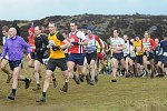 Click on thumbnail for larger photo