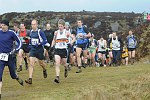 Click on thumbnail for larger photo
