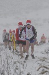 Click on thumbnail for larger photo
