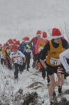 Click on thumbnail for larger photo