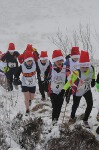 Click on thumbnail for larger photo