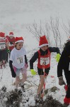 Click on thumbnail for larger photo
