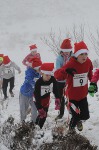 Click on thumbnail for larger photo