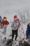 Click on thumbnail for larger photo