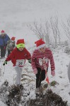 Click on thumbnail for larger photo