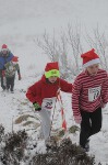 Click on thumbnail for larger photo