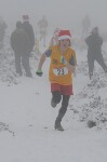 Click on thumbnail for larger photo