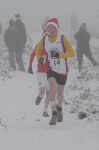 Click on thumbnail for larger photo