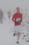 Click on thumbnail for larger photo
