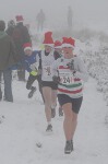 Click on thumbnail for larger photo