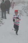 Click on thumbnail for larger photo