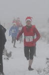Click on thumbnail for larger photo