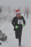 Click on thumbnail for larger photo