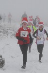 Click on thumbnail for larger photo