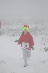 Click on thumbnail for larger photo