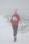 Click on thumbnail for larger photo