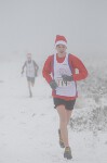 Click on thumbnail for larger photo