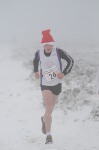 Click on thumbnail for larger photo