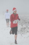 Click on thumbnail for larger photo