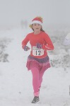 Click on thumbnail for larger photo